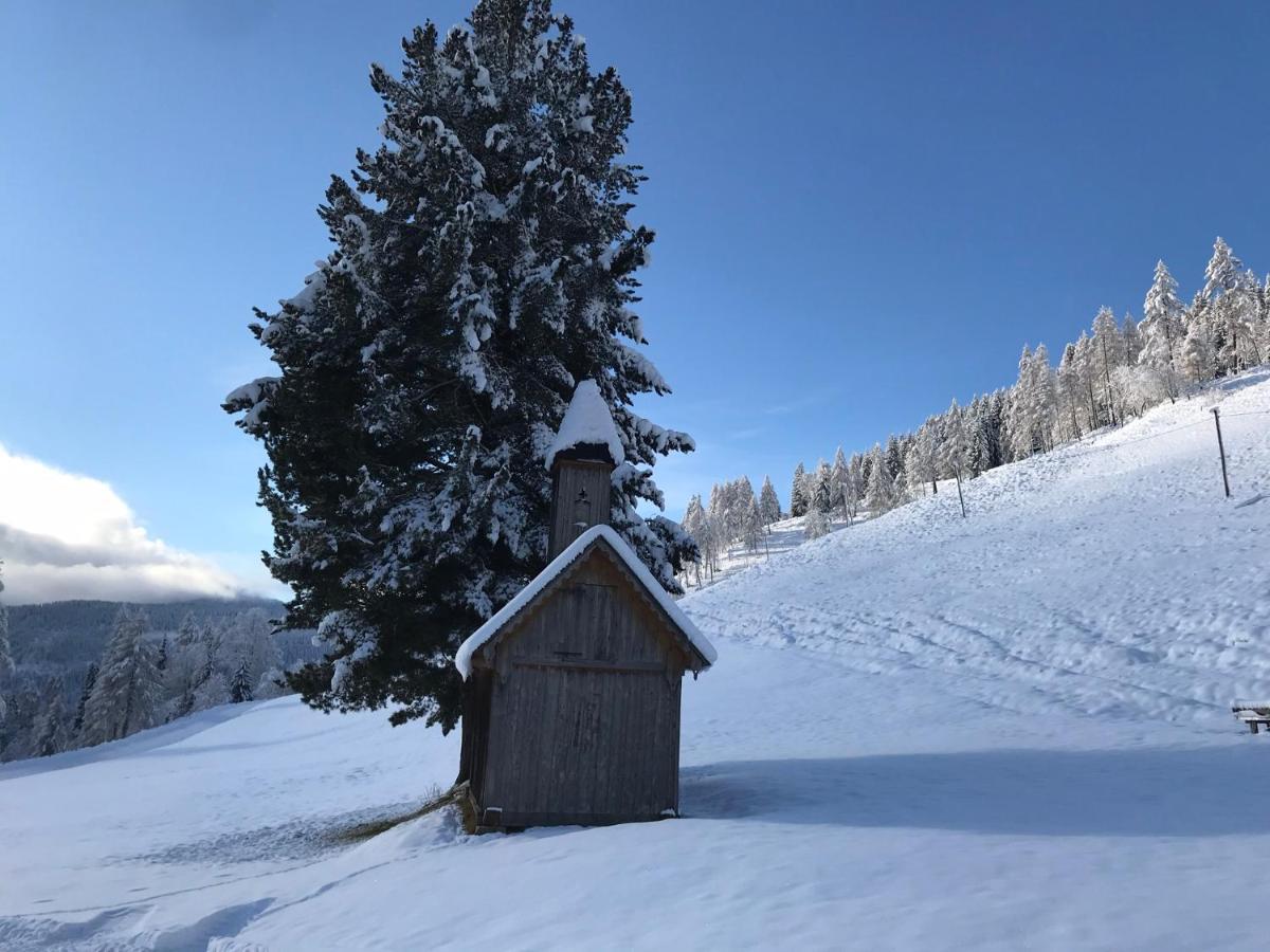 Wohlfuehlpension Kreischberg Inklusive Murau Sommergaestecard Ab 2 Naechte Sankt Georgen ob Murau Exteriér fotografie