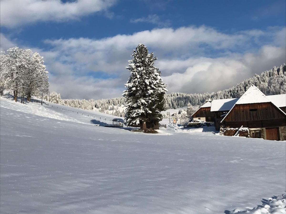 Wohlfuehlpension Kreischberg Inklusive Murau Sommergaestecard Ab 2 Naechte Sankt Georgen ob Murau Exteriér fotografie