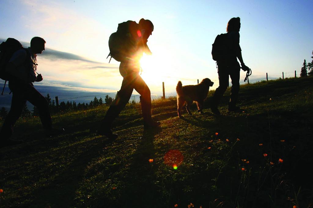 Wohlfuehlpension Kreischberg Inklusive Murau Sommergaestecard Ab 2 Naechte Sankt Georgen ob Murau Exteriér fotografie
