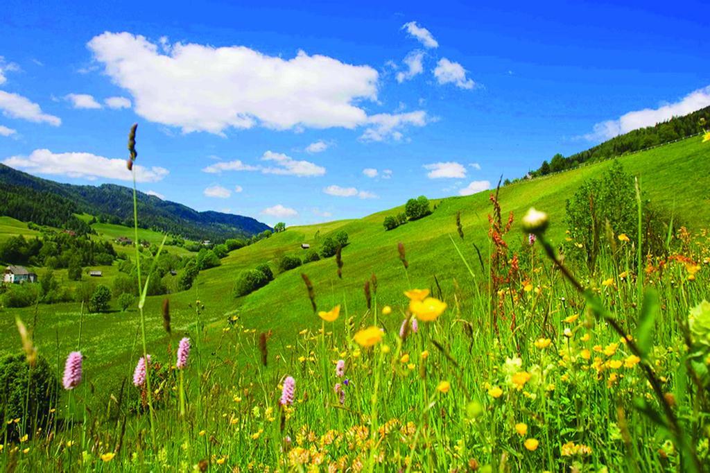 Wohlfuehlpension Kreischberg Inklusive Murau Sommergaestecard Ab 2 Naechte Sankt Georgen ob Murau Exteriér fotografie