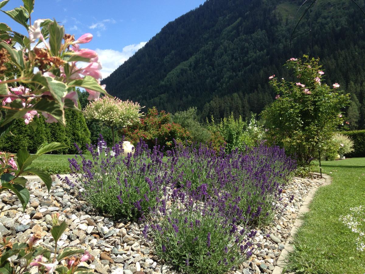 Wohlfuehlpension Kreischberg Inklusive Murau Sommergaestecard Ab 2 Naechte Sankt Georgen ob Murau Exteriér fotografie