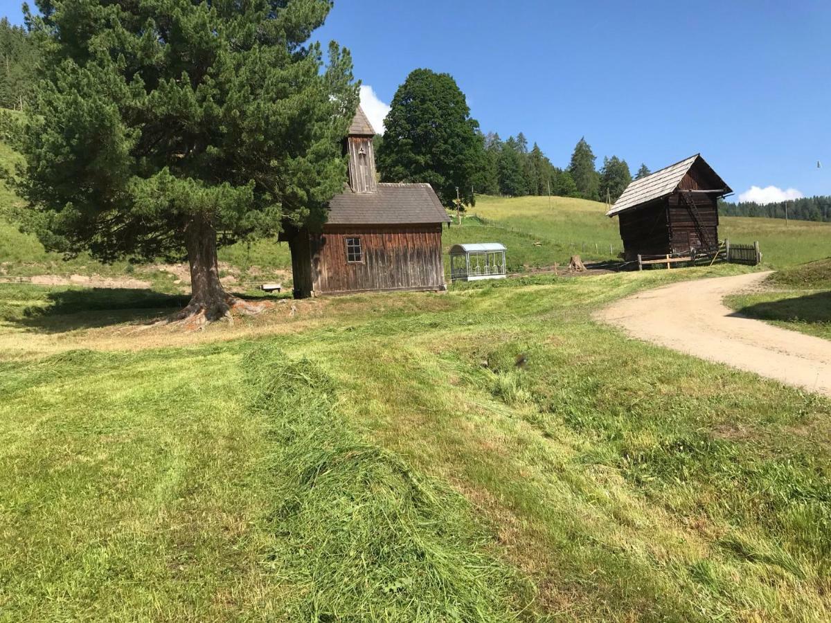 Wohlfuehlpension Kreischberg Inklusive Murau Sommergaestecard Ab 2 Naechte Sankt Georgen ob Murau Exteriér fotografie