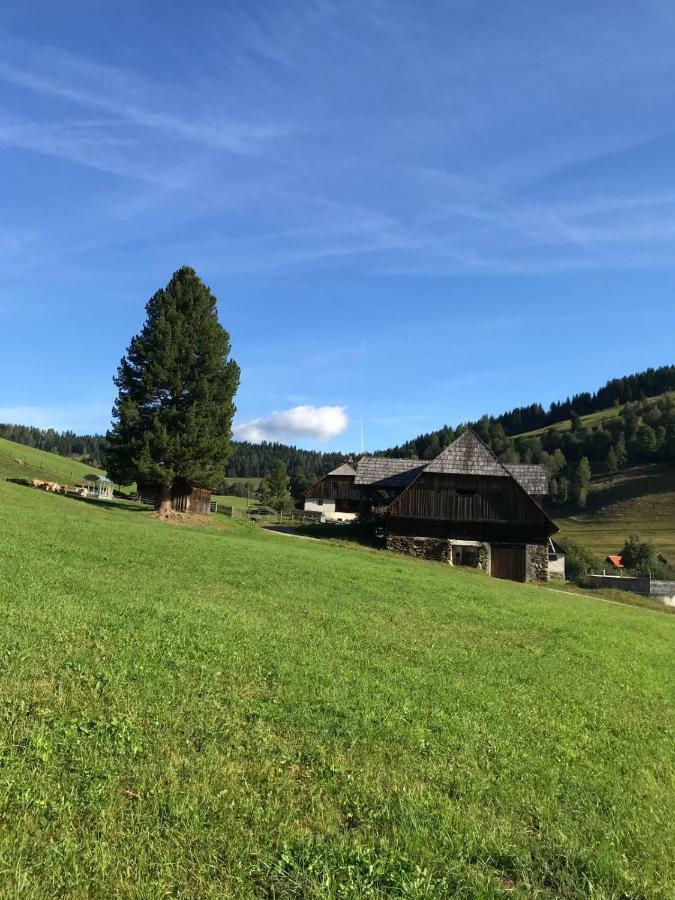 Wohlfuehlpension Kreischberg Inklusive Murau Sommergaestecard Ab 2 Naechte Sankt Georgen ob Murau Exteriér fotografie